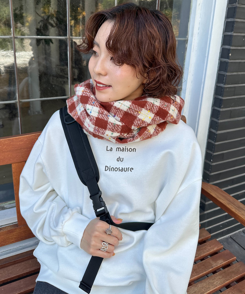 みんなで住みたい恐竜プルオーバー 詳細画像 オフホワイト 12