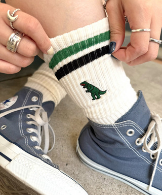 【m:rex】ミニ恐竜刺しゅうラインソックス