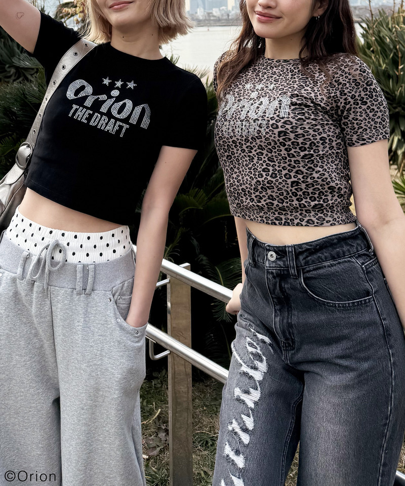 【Orion/オリオン】ラインストーンちびTシャツ 詳細画像 レオパード 14