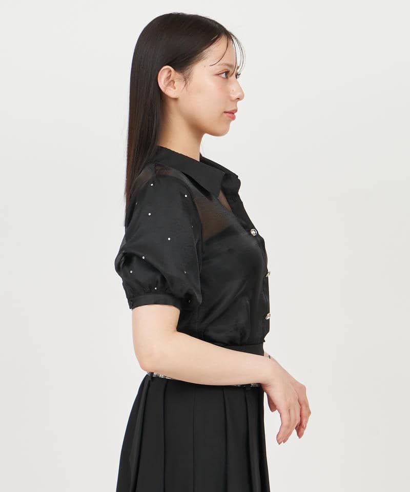 パフスリーブラインストーンシアーブラウス 詳細画像 ブラック 2