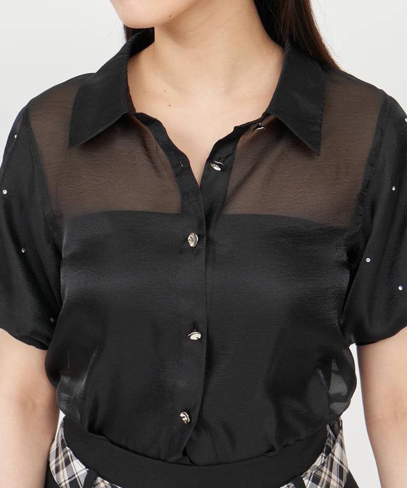 パフスリーブラインストーンシアーブラウス 詳細画像 ブラック 4