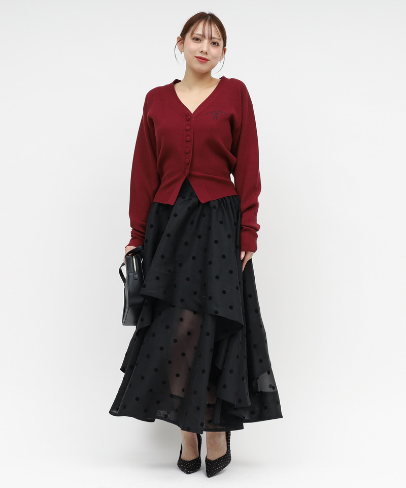 シアードットフレアスカート 詳細画像 ブラック 2