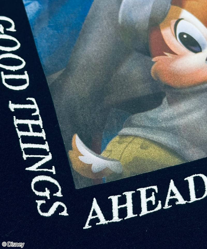 【Disney】ミッキー＆チップ＆デール/スウェット(PONEYCOMB TOKYO) 詳細画像 ブラック 3