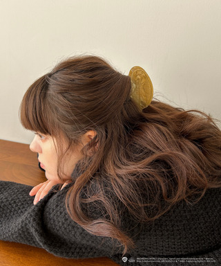 【Harry Potterコラボ】 クィディッチモチーフ バンスヘアクリップ