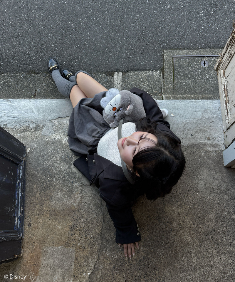 【Disney】シンデレラ/ルシファー/ぬいぐるみショルダーバッグ 詳細画像 グレー 24