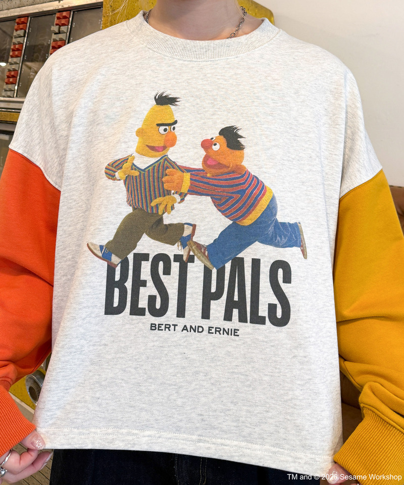【SESAME STREET】袖配色プルオーバー 詳細画像 柄B 4