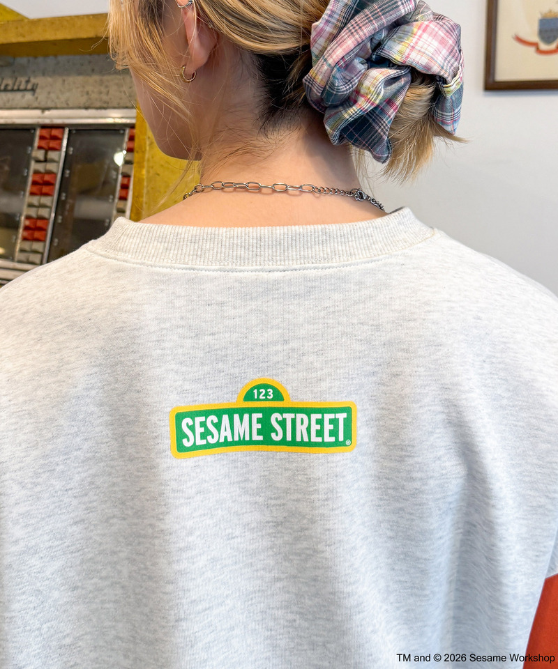 【SESAME STREET】袖配色プルオーバー 詳細画像 柄B 6