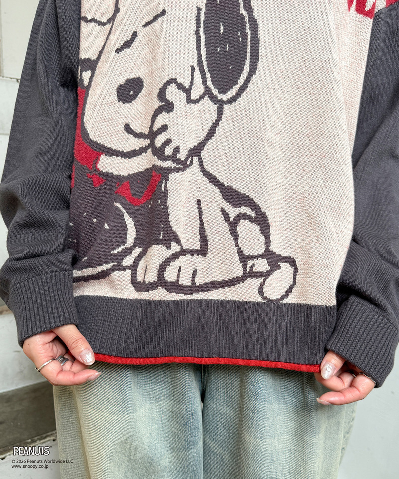 【PEANUTS】総柄ジャガードニットプルオーバー 詳細画像 グレー 13